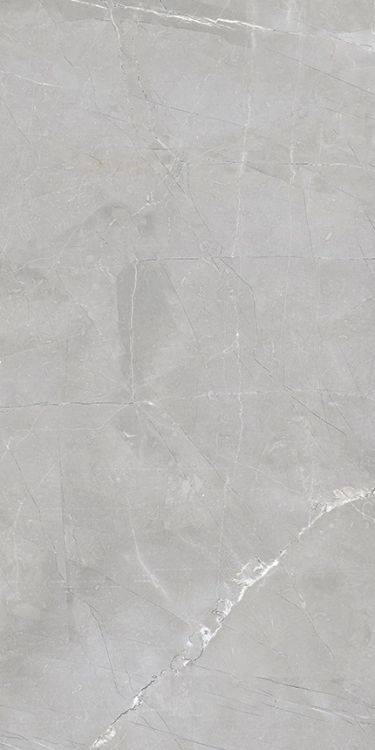 Luxury Amani Grey Matte 12 x 24